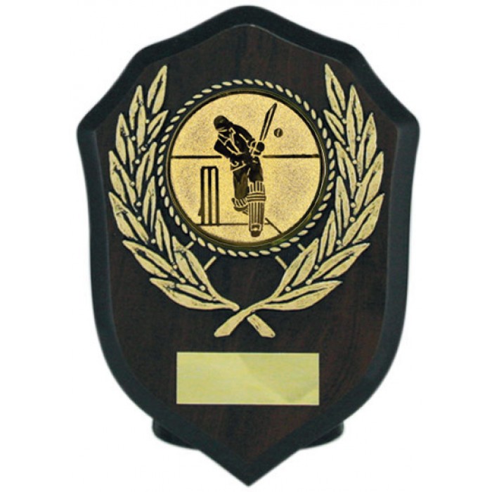 Budget cricket wooden plaque 6'' 